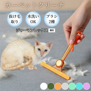 �y10�{�|�C���g�z�ߗޗp�ю��u���V ���ʃN���[�i�[ �y�b�g�����уN���[�i�[ �ыʎ��� �\�t�@ �J�[�y�b�g�p �ѕz�Ή� �Ód�C�h�~ �ю��p�i ���p�u���V �������O�b�Y �W���[�}�����b