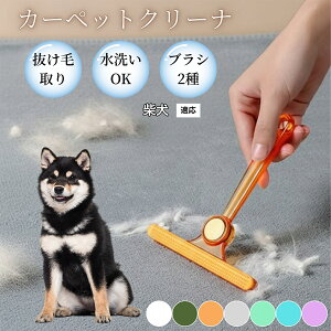 �y10�{�|�C���g�z�ߗޗp�ю��u���V ���ʃN���[�i�[ �y�b�g�����уN���[�i�[ �ыʎ��� �\�t�@ �J�[�y�b�g�p �ѕz�Ή� �Ód�C�h�~ �ю��p�i ���p�u���V �������O�b�Y �Č��� ��