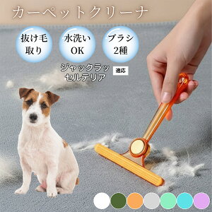 �ߗޗp�ю��u���V ���ʃN���[�i�[ �y�b�g�����уN���[�i�[ �ыʎ��� �\�t�@ �J�[�y�b�g�p �ѕz�Ή� �Ód�C�h�~ �ю��p�i ���p�u���V �������O�b�Y �W���b�N���b�Z���e���A�� �W��