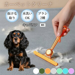 �ߗޗp�ю��u���V ���ʃN���[�i�[ �y�b�g�����уN���[�i�[ �ыʎ��� �\�t�@ �J�[�y�b�g�p �ѕz�Ή� �Ód�C�h�~ �ю��p�i ���p�u���V �������O�b�Y �L���o���A�L���O�`���[���Y�X