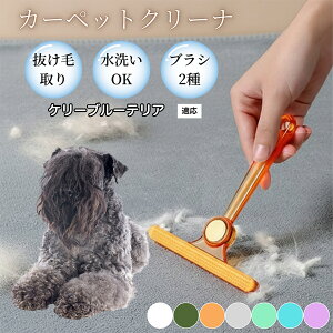 �y10�{�|�C���g�z�ߗޗp�ю��u���V ���ʃN���[�i�[ �y�b�g�����уN���[�i�[ �ыʎ��� �\�t�@ �J�[�y�b�g�p �ѕz�Ή� �Ód�C�h�~ �ю��p�i ���p�u���V �������O�b�Y �P���[�u���[�e