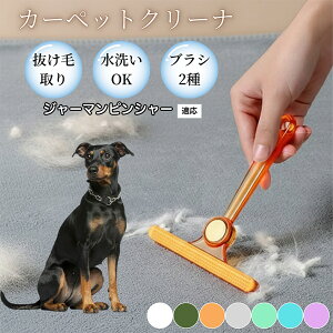 �y10�{�|�C���g�z�ߗޗp�ю��u���V ���ʃN���[�i�[ �y�b�g�����уN���[�i�[ �ыʎ��� �\�t�@ �J�[�y�b�g�p �ѕz�Ή� �Ód�C�h�~ �ю��p�i ���p�u���V �������O�b�Y �W���[�}���s��