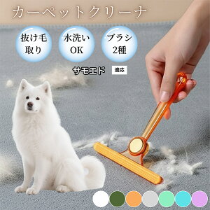 �y10�{�|�C���g�z�ߗޗp�ю��u���V ���ʃN���[�i�[ �y�b�g�����уN���[�i�[ �ыʎ��� �\�t�@ �J�[�y�b�g�p �ѕz�Ή� �Ód�C�h�~ �ю��p�i ���p�u���V �������O�b�Y �T���G�h���� 