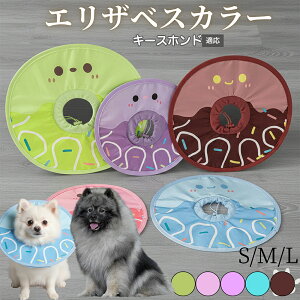 �y10�{�|�C���g�z���G���U�x�X�J���[ �L�G���U�x�X�J���[ �h�� �\�t�g�^�C�v �y�b�g�p��P�A �����ی� ���L���p �y�b�g�P�A�p�i �L�[�X�z���h�� �L�[�X