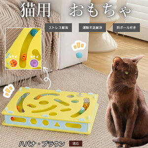 �y10�{�|�C���g�z�L�p�������� �m�� ��] �g�C ���邮�� ��{�[�� �L����炵 �@��@�� �V�� ���� �^�� �s�� �΍� �X�g���X ���U ����� �Ή� �n�o�i�u���E���L �n�o�i