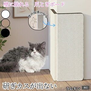 �y10�{�|�C���g�z�Ǌ|�������u�����p �L�p�܂Ƃ��{�[�h ���ʎg�p�\ �R�[�i�[�ی� �ϋv�^�C�v �_���{�[���� �܂Ƃ��}�b�g �c�^ ������� �� �� �Ή� �X�g���X���� �M�t�g�p �����L���L�� 