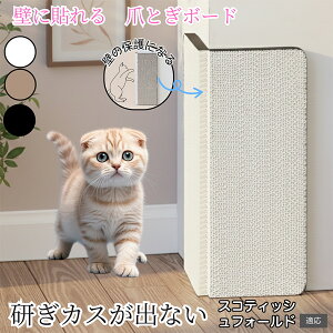 �y10�{�|�C���g�z�Ǌ|�������u�����p �L�p�܂Ƃ��{�[�h ���ʎg�p�\ �R�[�i�[�ی� �ϋv�^�C�v �_���{�[���� �܂Ƃ��}�b�g �c�^ ������� �� �� �Ή� �X�g���X���� �M�t�g�p �X�R�e�B�b�V��