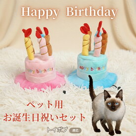 【最大40%OFFクーポン配布中】 犬 猫 誕生日 バースデー 帽子 ハット ケーキデザイン ペット用 かぶりもの パーティー 仮装 コスプレ インスタ映え おしゃれ 小型犬 中型犬 猫用 オールシーズン ペット服 トイボブ Toybob