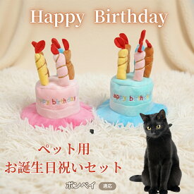 【最大40%OFFクーポン配布中】 犬 猫 誕生日 バースデー 帽子 ハット ケーキデザイン ペット用 かぶりもの パーティー 仮装 コスプレ インスタ映え おしゃれ 小型犬 中型犬 猫用 オールシーズン ペット服 ボンベイ Bombay