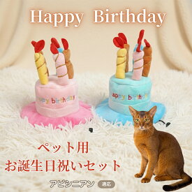 【最大40%OFFクーポン配布中】 犬 猫 誕生日 バースデー 帽子 ハット ケーキデザイン ペット用 かぶりもの パーティー 仮装 コスプレ インスタ映え おしゃれ 小型犬 中型犬 猫用 オールシーズン ペット服 アビシニアン Abyssinian