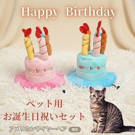 【最大40%OFFクーポン配布中】 犬 猫 誕生日 バースデー 帽子 ハット ケーキデザイン ペット用 かぶりもの パーティー 仮装 コスプレ インスタ映え おしゃれ 小型犬 中型犬 猫用 オールシーズン ペット服 アメリカンワイヤーヘア American Wirehair