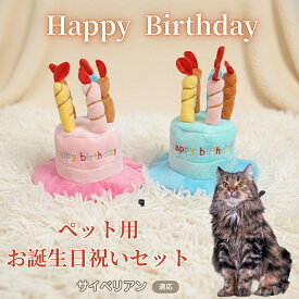 【最大40%OFFクーポン配布中】 犬 猫 誕生日 バースデー 帽子 ハット ケーキデザイン ペット用 かぶりもの パーティー 仮装 コスプレ インスタ映え おしゃれ 小型犬 中型犬 猫用 オールシーズン ペット服 サイベリアン Siberian