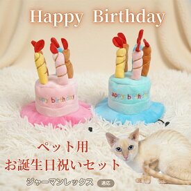 【最大40%OFFクーポン配布中】 犬 猫 誕生日 バースデー 帽子 ハット ケーキデザイン ペット用 かぶりもの パーティー 仮装 コスプレ インスタ映え おしゃれ 小型犬 中型犬 猫用 オールシーズン ペット服 ジャーマンレックス German Rex