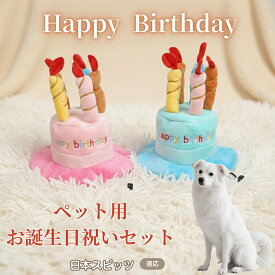 【最大40%OFFクーポン配布中】 犬 猫 誕生日 バースデー 帽子 ハット ケーキデザイン ペット用 かぶりもの パーティー 仮装 コスプレ インスタ映え おしゃれ 小型犬 中型犬 猫用 オールシーズン ペット服 日本スピッツ（Japanese Spitz）