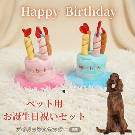 【最大40%OFFクーポン配布中】 犬 猫 誕生日 バースデー 帽子 ハット ケーキデザイン ペット用 かぶりもの パーティー 仮装 コスプレ インスタ映え おしゃれ 小型犬 中型犬 猫用 オールシーズン ペット服 アイリッシュ・セッター（Irish Setter）