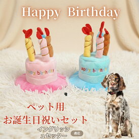 【最大40%OFFクーポン配布中】 犬 猫 誕生日 バースデー 帽子 ハット ケーキデザイン ペット用 かぶりもの パーティー 仮装 コスプレ インスタ映え おしゃれ 小型犬 中型犬 猫用 オールシーズン ペット服 イングリッシュ・セッター（English Setter）