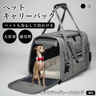 【最大40%OFFクーポン配布中】 イタリアングレーハウンド ペットキャリーバッグ ペットバッグ ペットキャ…
