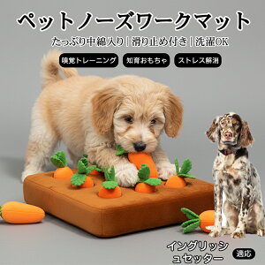 ���ő�40%�I�t�N�[�|���� �C���O���b�V���E�Z�b�^�[�iEnglish Setter�j �m�[�Y���[�N �ɂ񂶂� �� �������� �y�b�g �ɂ񂶂� �l�Q �y�b�g�p�i �� �ɂ񂶂� �m�[�Y���[�N�}�b�g �P���p�i �k�o