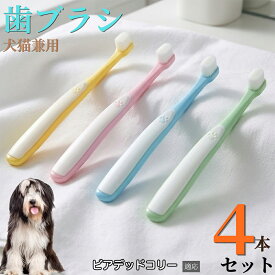 【最大40%OFFクーポン配布中】 ビアデッド・コリー（Bearded Collie） 【4本セット】 ペット 歯ブラシ 猫 犬 歯ブラシ 柔らかい 超極細毛 10000本 歯垢除去 歯周病予防 口臭対策 小型犬 中型犬 デンタルケア 痛くない 歯ぐきに優しい