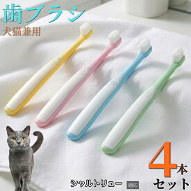 【最大40%OFFクーポン配布中】 シャルトリュー Chartreux 【4本セット】 ペット 歯ブラシ 猫 犬 歯ブラシ 柔らかい 超極細毛 10000本 歯垢除去 歯周病予防 口臭対策 小型犬 中型犬 デンタルケア 痛くない 歯ぐきに優しい