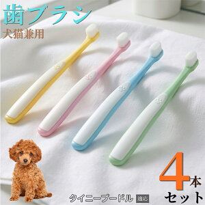 ���ő�40%�I�t�N�[�|���� �^�C�j�[�v�[�h���iTiny Poodle�j �y4�{�Z�b�g�z �y�b�g ���u���V �L �� ���u���V �_�炩�� ���ɍז� 10000�{ ���C���� �����a�\�h ���L�΍� ���^�� ���^�� �f���^���P�A 