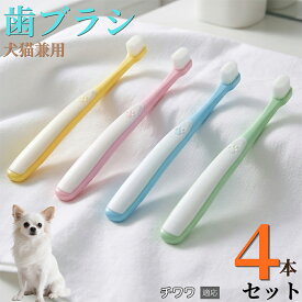 【20倍ポイント】 チワワ（Chihuahua） 【4本セット】 ペット 歯ブラシ 猫 犬 歯ブラシ 柔らかい 超極細毛 10000本 歯垢除去 歯周病予防 口臭対策 小型犬 中型犬 デンタルケア 痛くない 歯ぐきに優しい