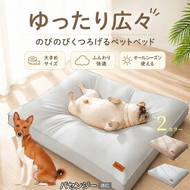 【最大40%OFFクーポン配布中】 バセンジー（Basenji） ペットベッド 防水 犬 猫 小型犬 中型犬 大型犬 シニア犬 撥水 加工 クッション ベッド おねしょ 対策 粗相 介護用 汚れにくい オールシーズン グレー