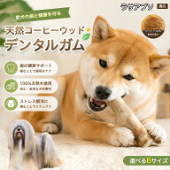 ラサ・アプソ（Lhasa Apso） 犬 噛むおもちゃ コーヒーウッド デンタルスティック 100%天然木 カフェイン…