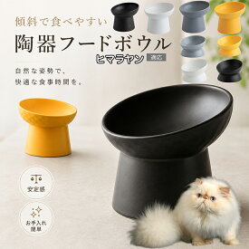 ヒマラヤン ヒマラヤンキャット Himalayan 猫 食器 傾斜ボウル 吐き戻し軽減 フードボウル スタンド 食べやすい セラミック 陶器 高さがある 犬 小型犬 子猫 成猫 シニア猫 餌入れ 水入れ ホワイト