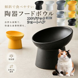 エキゾチックショートヘア 猫 食器 傾斜ボウル 吐き戻し軽減 フードボウル スタンド 食べやすい セラミック 陶器 高さがある 犬 小型犬 子猫 成猫 シニア猫 餌入れ 水入れ ホワイト