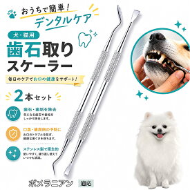 【最大40%OFFクーポン配布中】 ポメラニアン 犬 歯石取り スケーラー 犬用デンタルケア 2本セット 両端2WAY 歯垢除去 口臭対策 黄ばみ除去 口腔ケア 犬猫兼用 自分で セルフケア ステンレス製 衛生