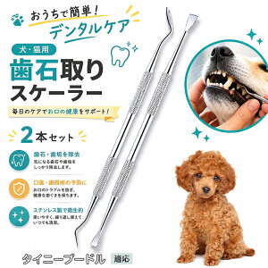 �y�ő�40%OFF�N�[�|���z�z���z �^�C�j�[�v�[�h���iTiny Poodle�j �� ���Ύ�� �X�P�[���[ ���p�f���^���P�A 2�{�Z�b�g ���[2WAY ���C���� ���L�΍� ���΂ݏ��� ���o�P�A ���L���p ������ �Z���t�P