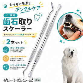 【最大40%OFFクーポン配布中】 グレート・ピレニーズ（Great Pyrenees） 犬 歯石取り スケーラー 犬用デンタルケア 2本セット 両端2WAY 歯垢除去 口臭対策 黄ばみ除去 口腔ケア 犬猫兼用 自分で セルフケア ステンレス製 衛生