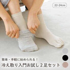 簡単・手軽に始められる! 冷えとり入門お試し2足セット カラープラス（22-24cm）5本指ソックス シルク 靴下 5本指 重ね履き 冷え取り 冷えとり ソックス 絹 冷え取り靴下 冷えとり靴下 5本指靴下 山忠 温むすび おんむすび 日本製