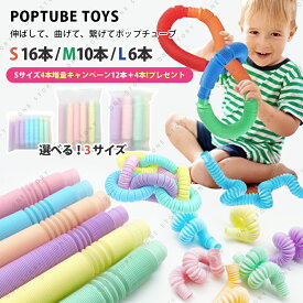 ＼今だけ限定★ポイント10倍／ポップチューブ 選べる3サイズ 16本セット 10本セット 6本セット POP TUBE カラフル パステル セット おもちゃ トイ 知育玩具 ストレス ベビー 子供 キッズ プッシュポップ フィジェットトイ プレゼント プチプラ プチギフト ギフト レインボ