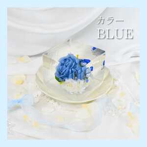 Xؘ\ NX}X XA[g X R x   A[g ʂȎ X̉ ԕX Mtg TvCY ͋C o LO ~̃Mtg [ e[u Ȃ hyoukaroku