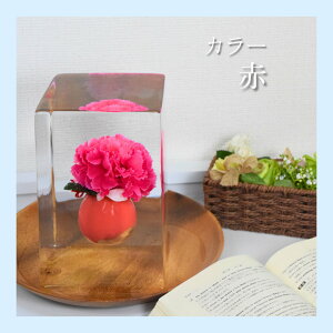 J[l[VX NX}X XA[g J[l[V {̕X X R x  A[g ʂȎ X̉ ԕX Mtg TvCY o ͋C LO ~̃Mtg [ e