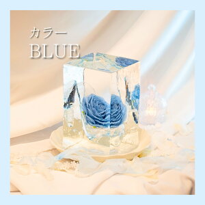 uC_X NX}X vZXV[Y X R x   A[g ʂȎ X̉ ԕX Mtg TvCY v|[Y ͋C  ҍ uC_ LO ~