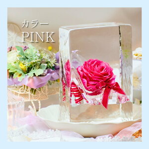 uC_X NX}X vZXV[Y X R x   A[g ʂȎ X̉ ԕX Mtg TvCY v|[Y ͋C  ҍ uC_ LO ~