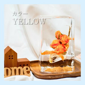 uC_X NX}X vZXV[Y X R x   A[g ʂȎ X̉ ԕX Mtg TvCY v|[Y ͋C  ҍ uC_ LO ~