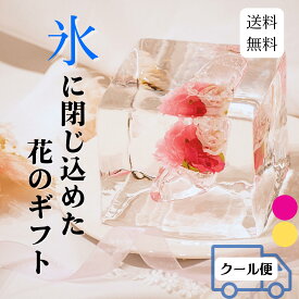 ブライダル氷華SS クリスマス プリンセスシューズ 飾る氷 儚い 透明度 花 造花 アート 特別な時間 氷の華 花氷 ギフト サプライズ 雰囲気作り 結婚式 プロポーズ ブライダル 記念日 冬のギフト 納涼 テーブル装飾 シンデレラ ウェディングギフト 被らない bridal hyoukaSS