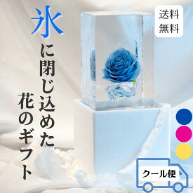 ブライダル氷華 クリスマス プリンセスシューズ 飾る氷 儚い 透明度 花 造花 アート 特別な時間 氷の華 花氷 ギフト サプライズ プロポーズ 雰囲気作り 結婚式 待合室 ブライダル 記念日 冬のギフト 納涼 テーブル装飾 シンデレラ ウェディングギフト 被らない bridal hyouka