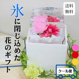 氷華SS クリスマス 氷アート 飾る氷 儚い 透明度 花 造花 アート 特別な時間 氷の華 花氷 ギフト サプライズ 雰囲気作り 演出 記念日 冬のギフト 納涼 テーブル装飾 被らない hyoukaSS