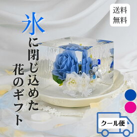 氷華禄 クリスマス 氷アート 飾る氷 儚い 透明度 花 造花 アート 特別な時間 氷の華 花氷 ギフト サプライズ 雰囲気作り 演出 記念日 冬のギフト 納涼 テーブル装飾 被らない hyoukaroku