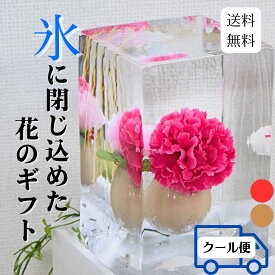 カーネーション氷華 クリスマス 氷アート カーネーション 本物の氷 飾る氷 儚い 透明度 造花 アート 特別な時間 氷の華 花氷 ギフト サプライズ 演出 雰囲気作り 記念日 冬のギフト 納涼 テーブル装飾 サプライズ 被らない carnation hyouka