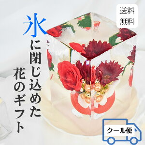 X؃[Y NX}X XA[g J[l[V {̕X X R x  A[g ʂȎ X̉ ԕX Mtg TvCY o ͋C ~̃Mtg e[u TvCY