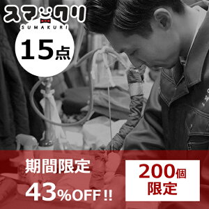 43%OFF//200個限定//クリーニング 宅配 15点 スマクリパック 高品質な宅配クリーニング 15点まで詰め放題 【サービス特集認定商品】