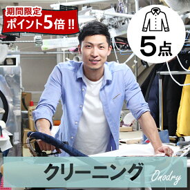 今だけ、全品ポイント5倍//クリーニング 詰め放題 宅配 5点 高級 宅配クリーニング スマクリ5点パック 【サービス特集認定商品】