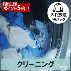 楽天市場 クリーニング 詰め放題の通販
