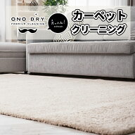 ウィルトン系カーペット＜縦160～200cm 横180～300cm＞ クリーニング